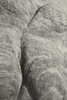 Untitled (Geologic Time)
