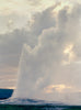 Old Faithful, Wyoming, 1995