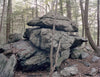 Glacial Erratics, The Mianus River Gorge, Bedford, N.Y., 2013
